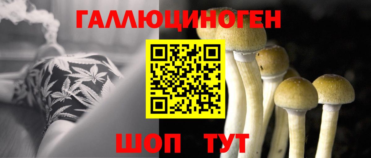 сколько стоит  Псилоцибиновые грибы прущие грибы  Вход с VPN  Котовск 