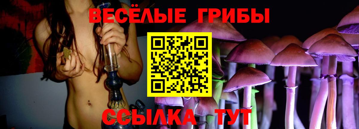 Галлюциногенные грибы Psilocybine cubensis Котовск